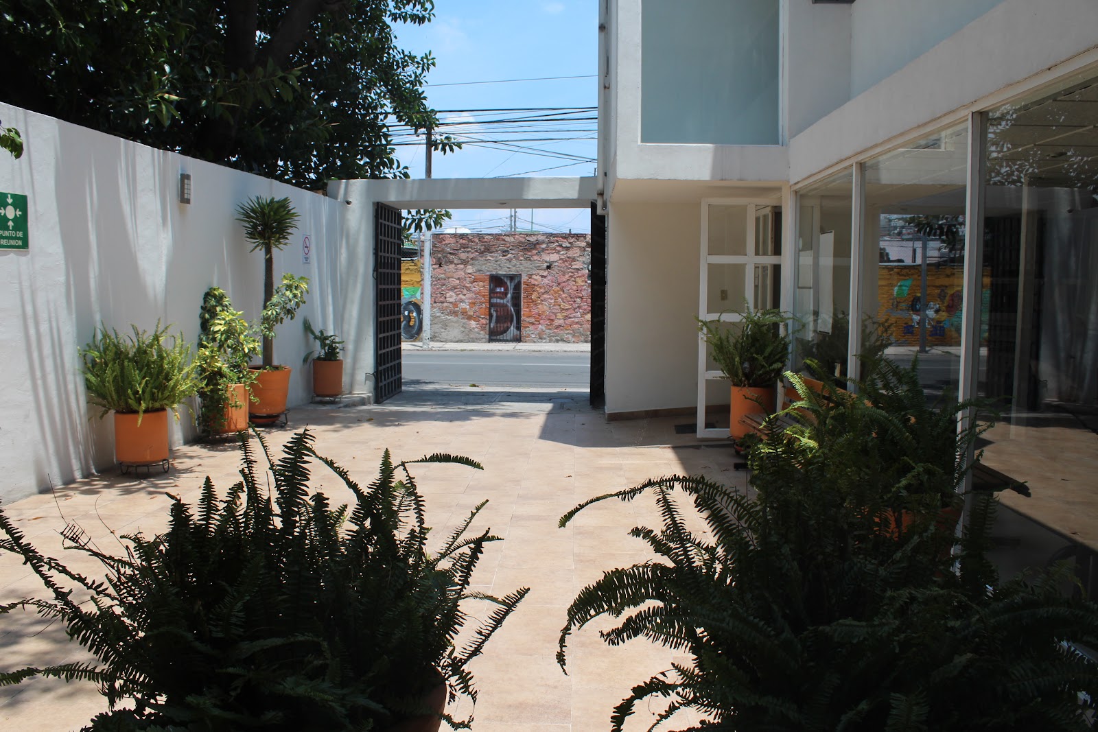 Patio interior de la clínica con luz natural y plantas